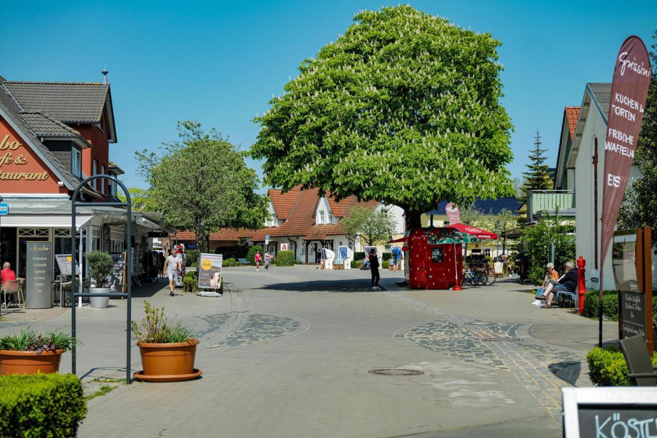 Ferienwohnungen Meerfarbig Zingst - Haustierfrei -Terrasse Mit Strandkorb Oder Balkon - E-Ladesaeule - Parkplatz - Wlan - Fahrradschuppen - Waschtrockner - Ruhig Und Zentral - Nichtraucher Zewnętrze zdjęcie